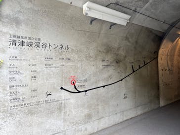 清津峡渓谷トンネルに投稿された画像（2022/5/4）