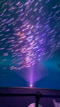 名古屋港水族館に投稿された画像（2022/5/4）
