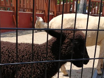 東武動物公園に投稿された画像（2022/5/4）