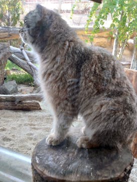 那須どうぶつ王国に投稿された画像（2022/5/4）