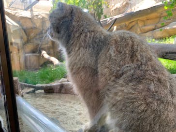 那須どうぶつ王国に投稿された画像（2022/5/4）