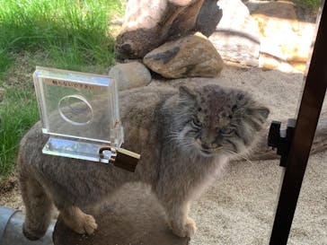 那須どうぶつ王国に投稿された画像（2022/5/4）