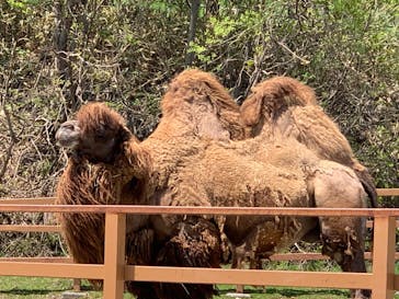 那須どうぶつ王国に投稿された画像（2022/5/4）