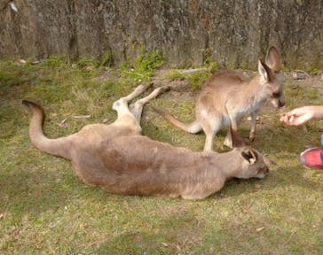 長崎バイオパークに投稿された画像（2022/5/4）