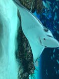 サンシャイン水族館に投稿された画像（2022/5/4）
