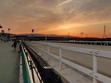 園田競馬場に投稿された画像（2022/5/4）