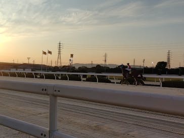園田競馬場に投稿された画像（2022/5/4）