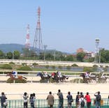 園田競馬場に投稿された画像（2022/5/4）
