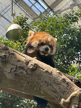 神戸どうぶつ王国に投稿された画像（2022/5/4）