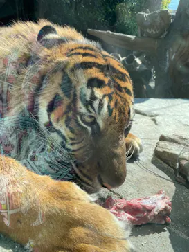 神戸どうぶつ王国に投稿された画像（2022/5/4）