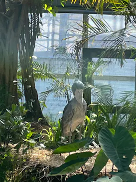 神戸どうぶつ王国に投稿された画像（2022/5/4）