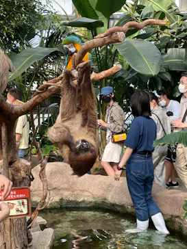 神戸どうぶつ王国に投稿された画像（2022/5/4）