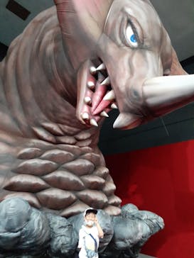 日本モンキーパークに投稿された画像（2022/5/4）