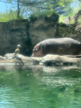 天王寺動物園に投稿された画像（2022/5/4）