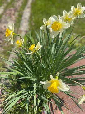 清津峡渓谷トンネルに投稿された画像（2022/5/4）