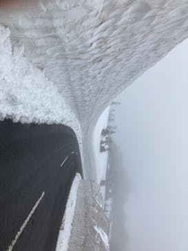 志賀高原マウンテンリゾートに投稿された画像（2022/5/4）