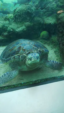 横浜・八景島シーパラダイスに投稿された画像（2022/5/4）