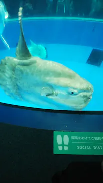 横浜・八景島シーパラダイスに投稿された画像（2022/5/4）