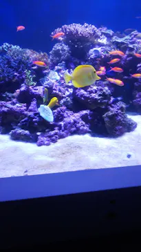 横浜・八景島シーパラダイスに投稿された画像（2022/5/4）