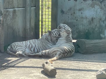 伊豆アニマルキングダムに投稿された画像（2022/5/4）