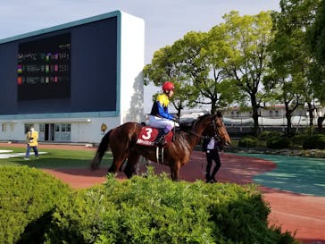 園田競馬場に投稿された画像（2022/5/4）