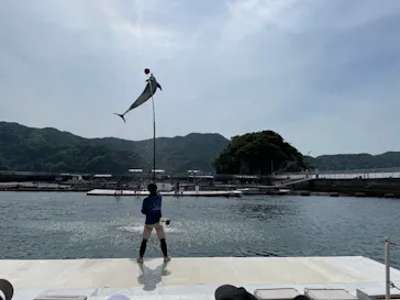 うみたま体験パーク 「つくみイルカ島」に投稿された画像（2022/5/4）