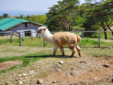 那須どうぶつ王国に投稿された画像（2022/5/4）