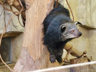 那須どうぶつ王国に投稿された画像（2022/5/4）