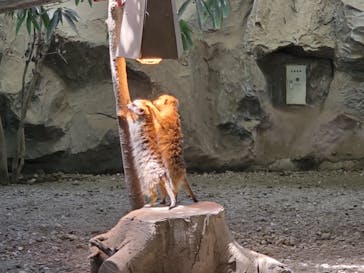 那須どうぶつ王国に投稿された画像（2022/5/4）