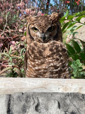 伊豆シャボテン動物公園に投稿された画像（2022/5/4）