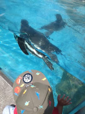 東武動物公園に投稿された画像（2022/5/4）