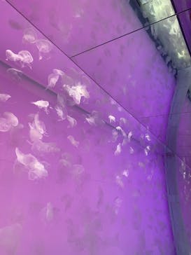 アクアワールド茨城県大洗水族館に投稿された画像（2022/5/4）