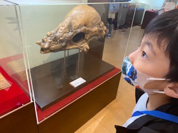 国立科学博物館　特別企画展「ポケモン化石博物館」に投稿された画像（2022/5/4）