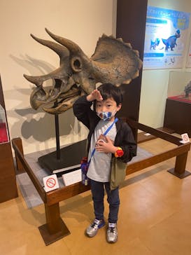 国立科学博物館　特別企画展「ポケモン化石博物館」に投稿された画像（2022/5/4）