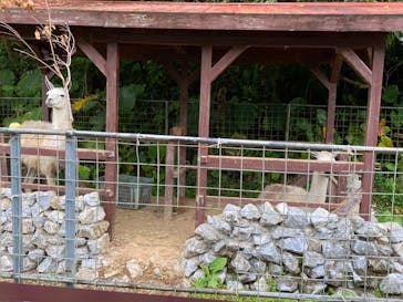 ネオパークオキナワに投稿された画像（2022/5/4）