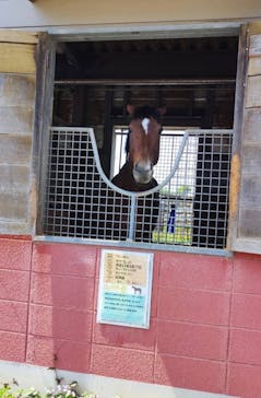 東武動物公園に投稿された画像（2022/5/4）
