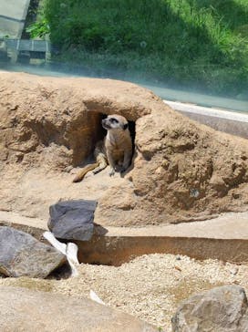 東武動物公園に投稿された画像（2022/5/4）
