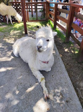 東武動物公園に投稿された画像（2022/5/4）