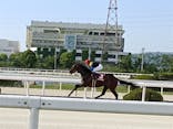 園田競馬場に投稿された画像（2022/5/4）