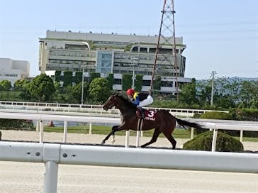 園田競馬場に投稿された画像（2022/5/4）