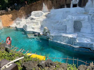 天王寺動物園に投稿された画像（2022/5/4）