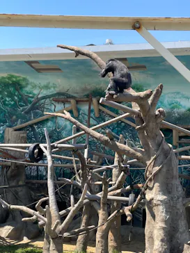 天王寺動物園に投稿された画像（2022/5/4）