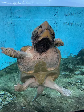 天王寺動物園に投稿された画像（2022/5/4）