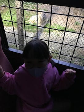 那須サファリパークに投稿された画像（2022/5/4）