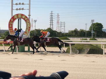園田競馬場に投稿された画像（2022/5/4）