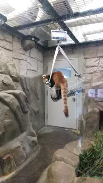 天王寺動物園に投稿された画像（2022/5/4）