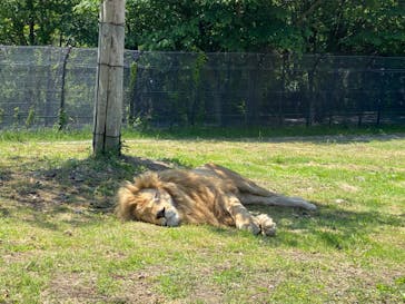 姫路セントラルパークに投稿された画像（2022/5/4）