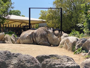 姫路セントラルパークに投稿された画像（2022/5/4）