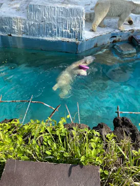 天王寺動物園に投稿された画像（2022/5/4）