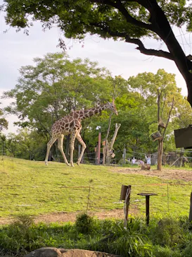 天王寺動物園に投稿された画像（2022/5/4）